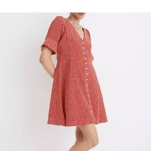 Madewell Silk Button Front Mini Dress in Park Picnic